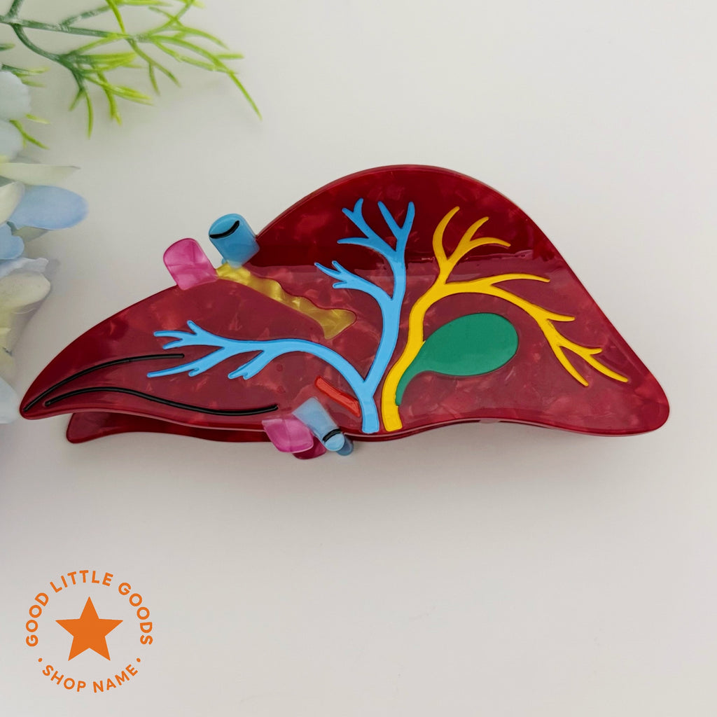 Anatomical Liver Hair Clip