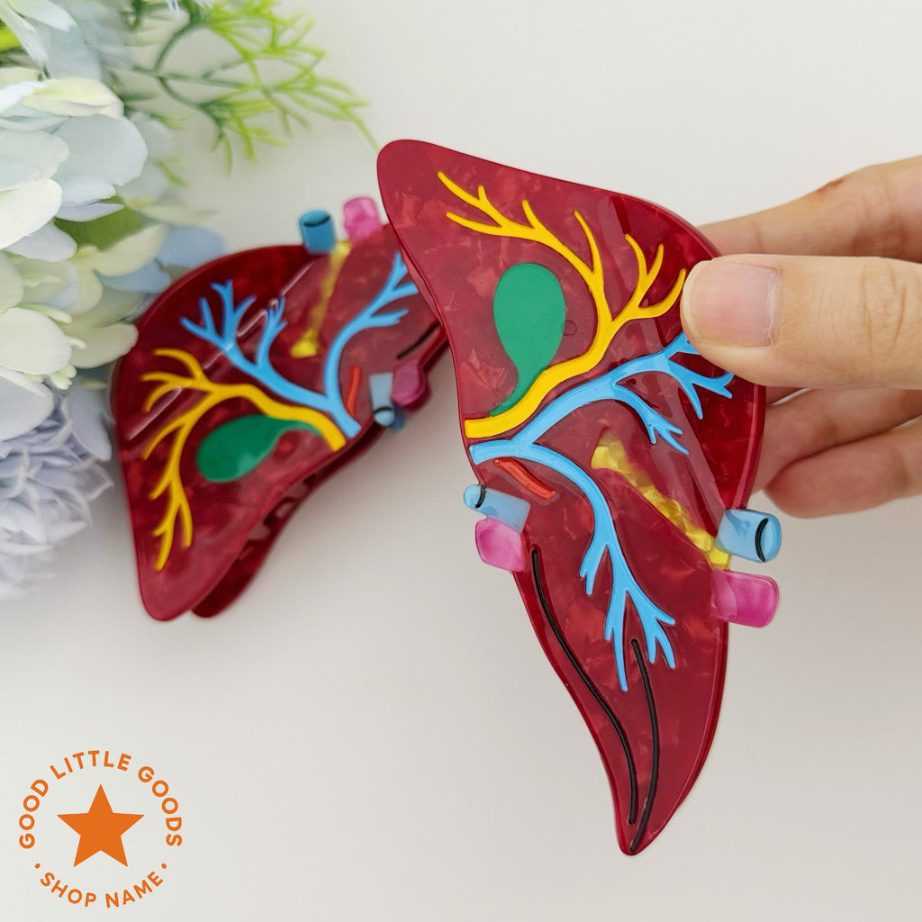Anatomical Liver Hair Clip
