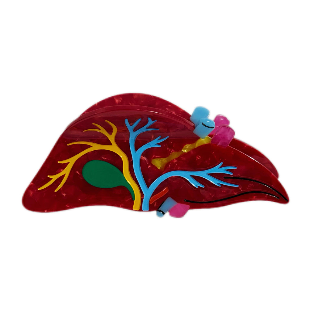 Anatomical Liver Hair Clip