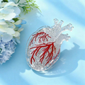 Anatomical Ice Heart Hair Clip